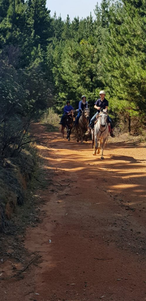 Argalong Trail Rides