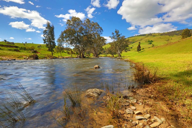 Elm Cottage Tumut