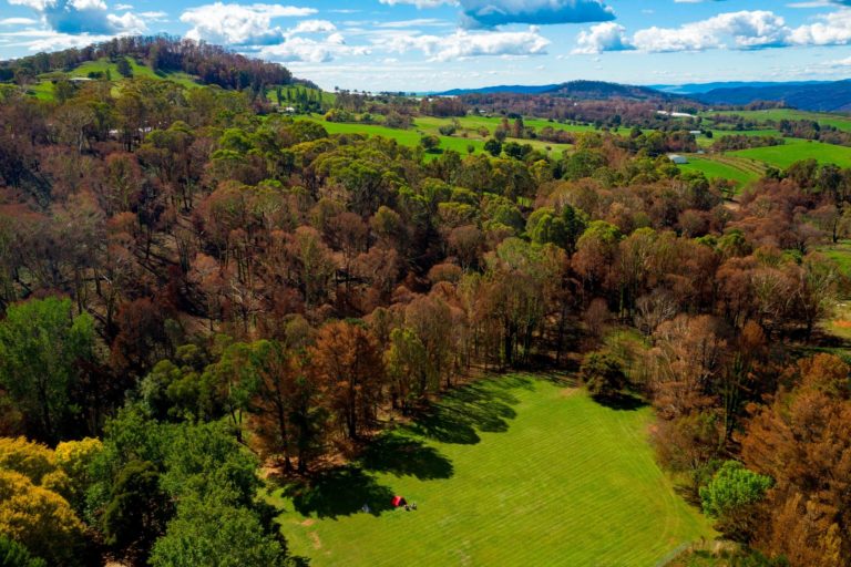 Batlow Caravan Park