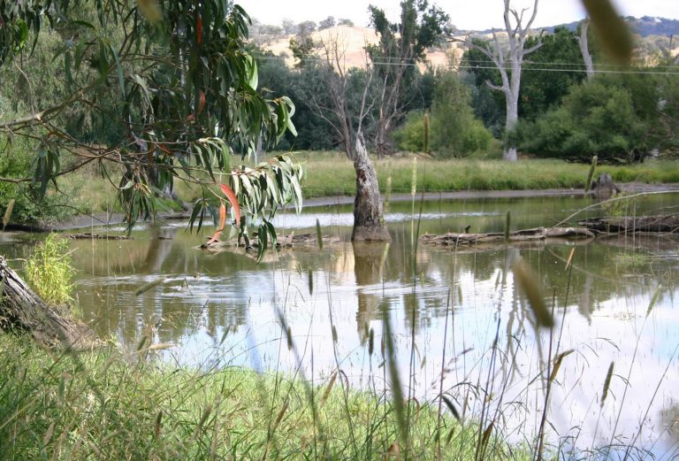 Tumut Wetlands