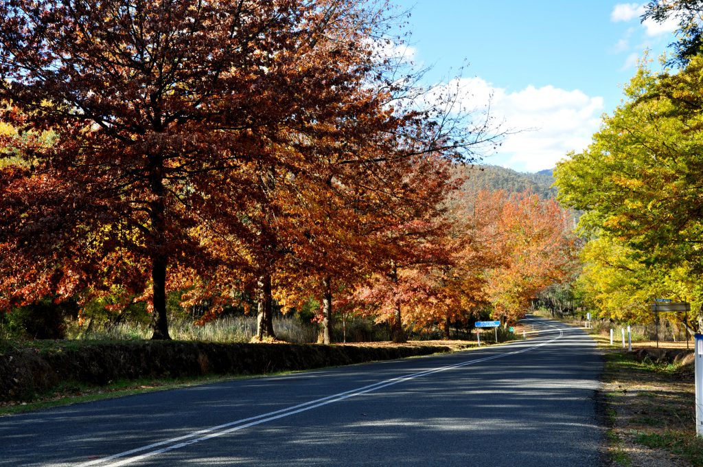The Alpine Way near Khancoban, in the Snowy Valleys in the western foothills of the Snowy Mountains, NSW