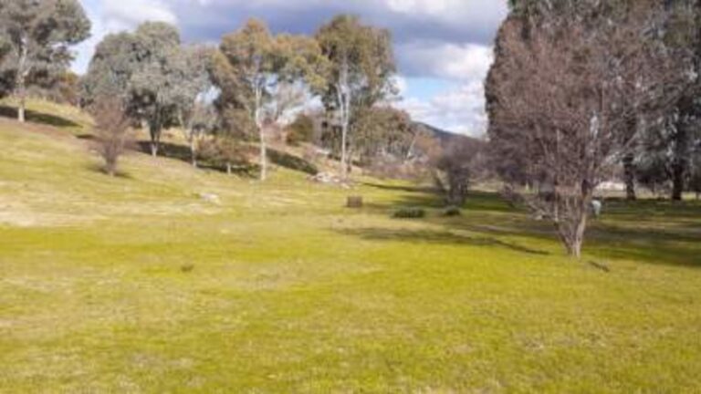 Adelong Falls Bush Camp