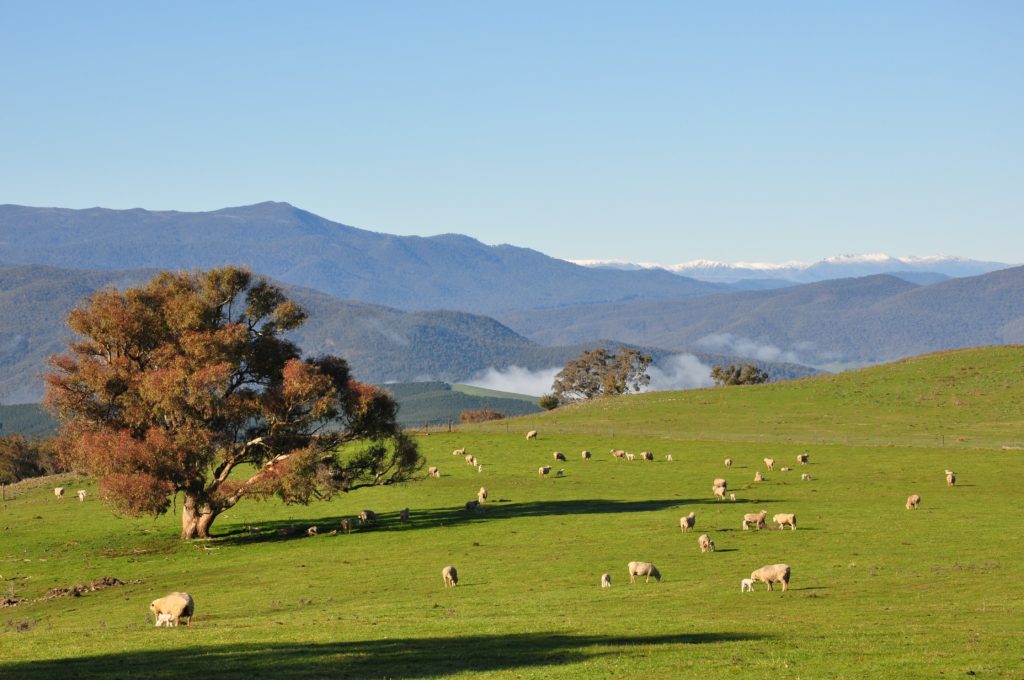 Southern Cloud Memorial Lookout, Tooma, Snowy Valleys, NSW