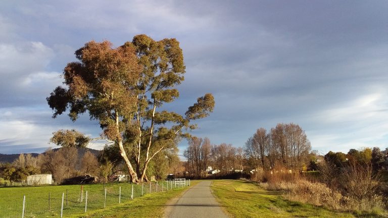 Adelong Falls Walk