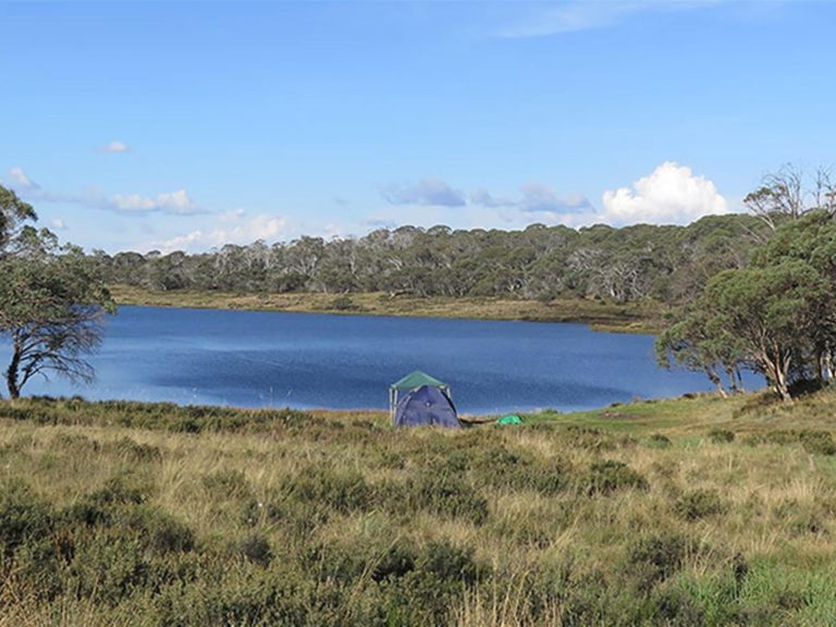 Three Mile Dam campground