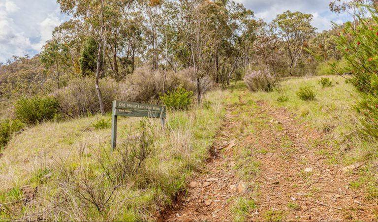 Old Mountain Road Walking Track