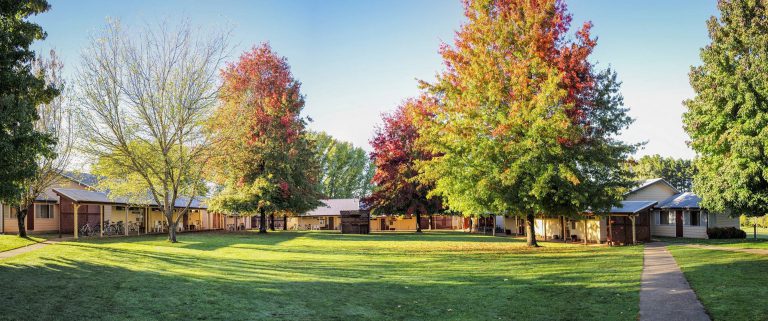 Laurel Hill Forest Lodge