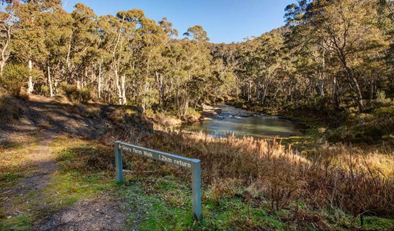 Yarrangobilly Caves – Glory Farm walk