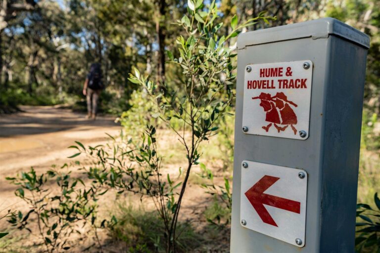 Hume and Hovell Track