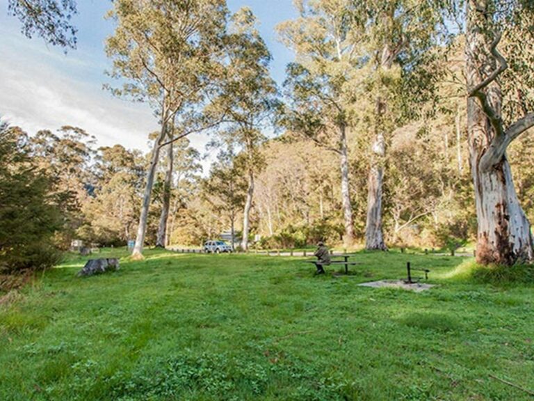 Leatherbarrel Creek picnic area