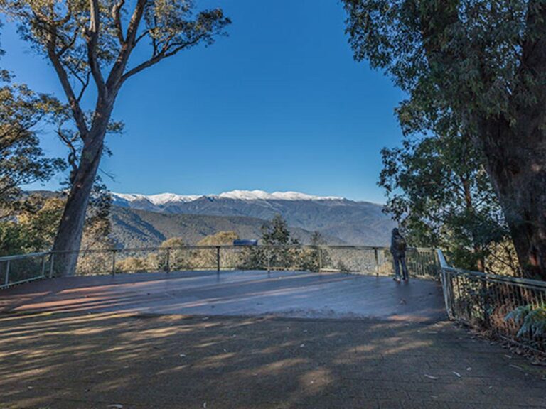 Scammells Ridge lookout