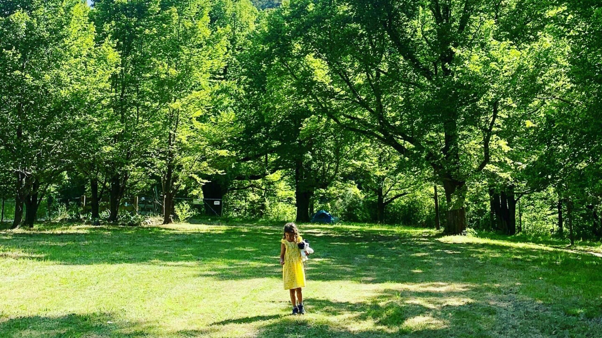 Elm Grove Sanctuary Community