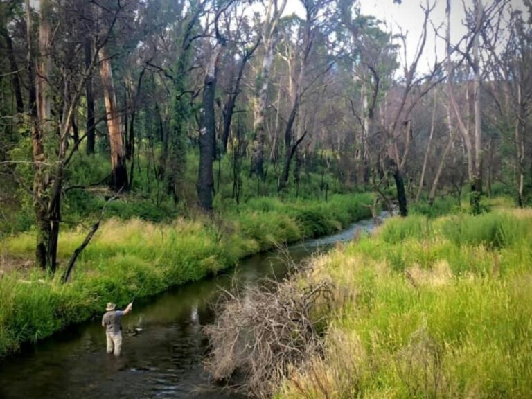 Paddy’s River Flats Reserve